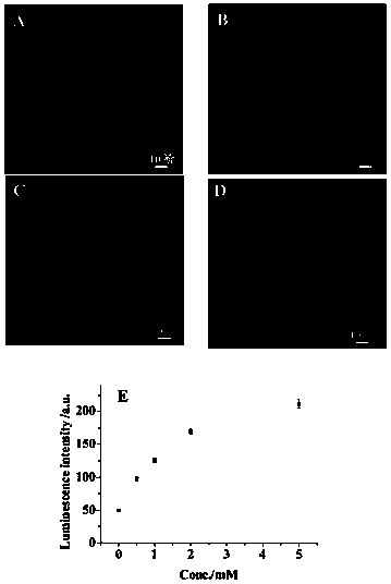 Applications of nanometer needle electrode in ultrahigh density electrochemical sensing analysis