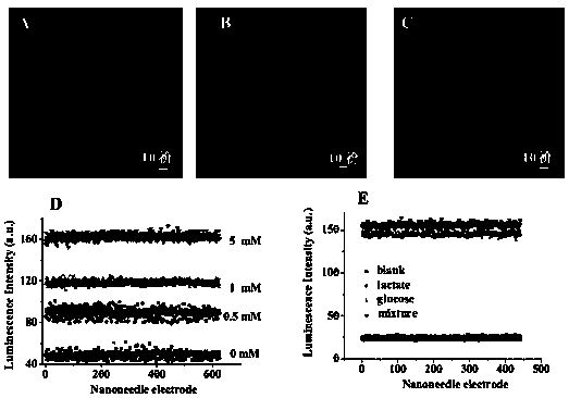 Applications of nanometer needle electrode in ultrahigh density electrochemical sensing analysis