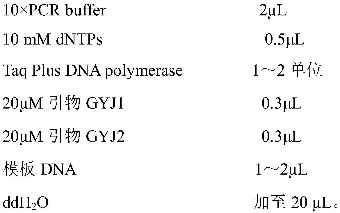 Guiyujin pcr identification kit and identification method