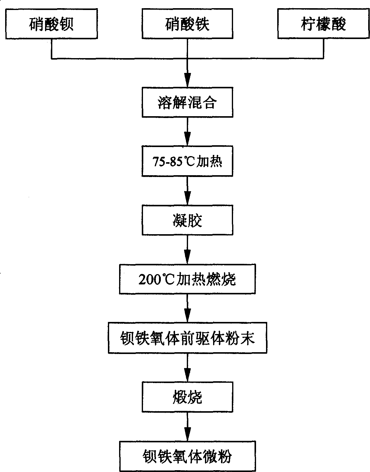Process for synthesizing barium ferrite micro powder by self combustion method