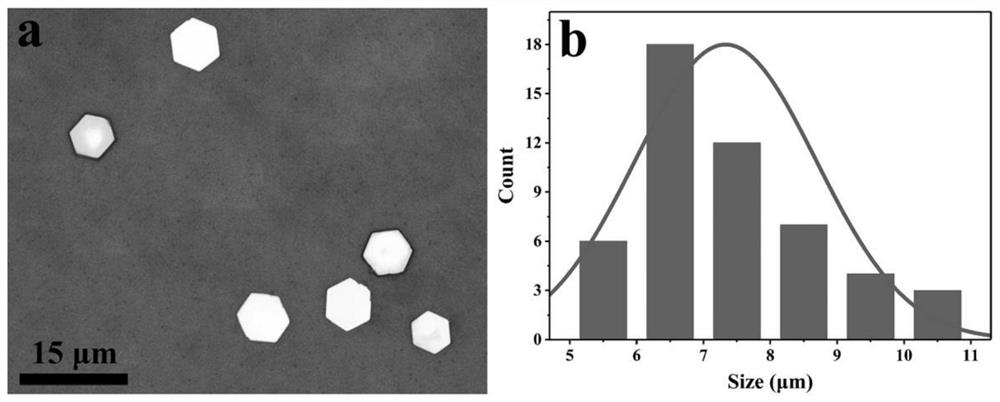 Preparation method for two-dimensional hexagonal tellurium nanosheets and application of preparation method to medical photoelectric detector