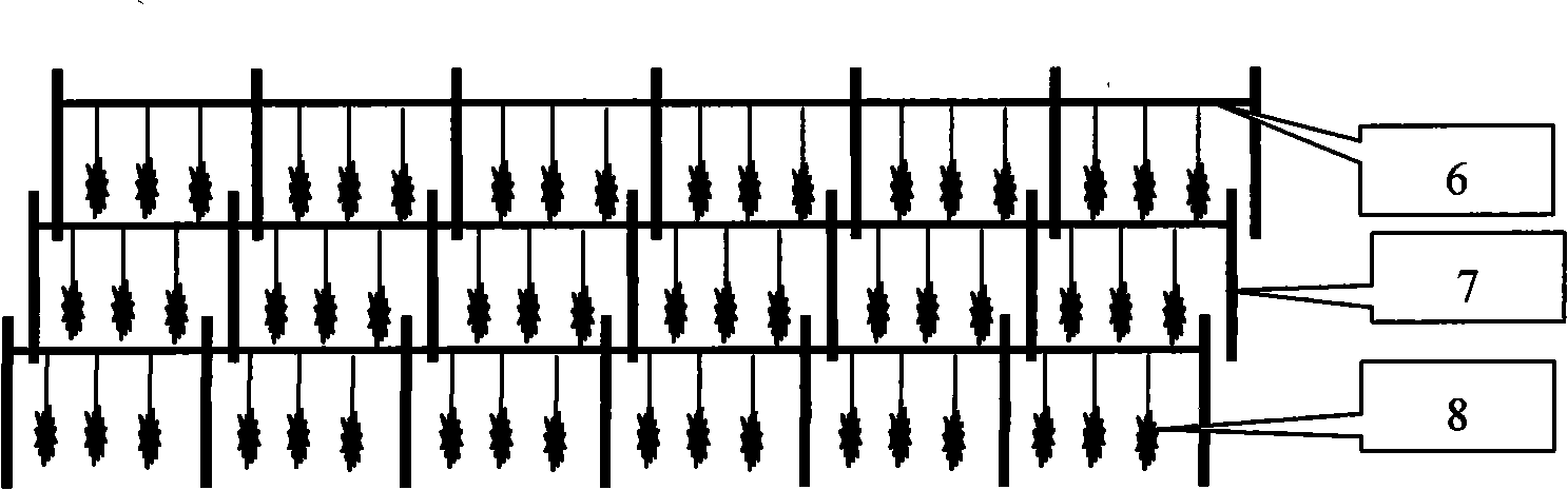 Method for repairing polluted seawater by shellfish-alga composite ecologic system