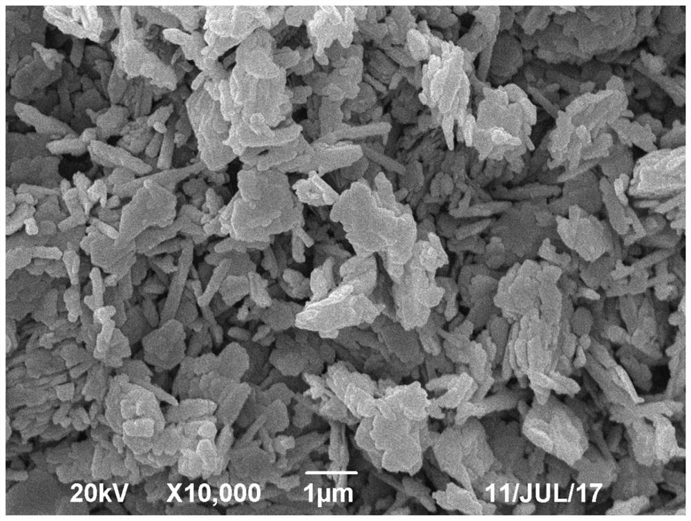 A kind of macroporous kaolinite and its preparation and application