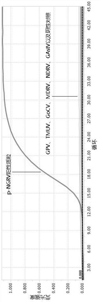 Primer and kit for detecting novel goose reovirus and detection method and application thereof