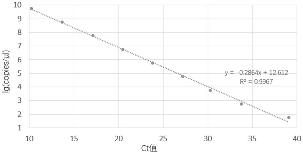 Primer and kit for detecting novel goose reovirus and detection method and application thereof