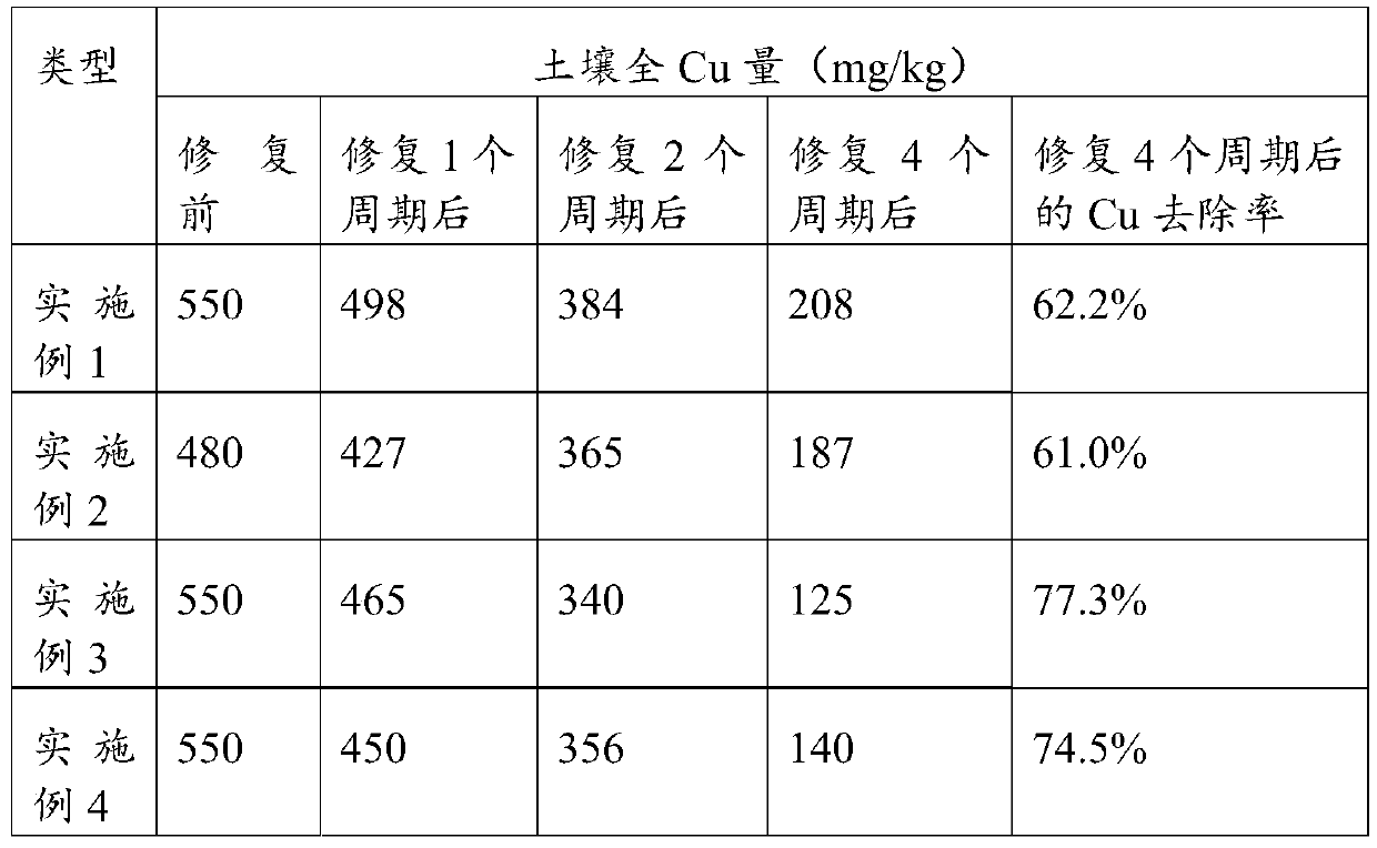 A green plant restoration method for heavy metal polluted soil