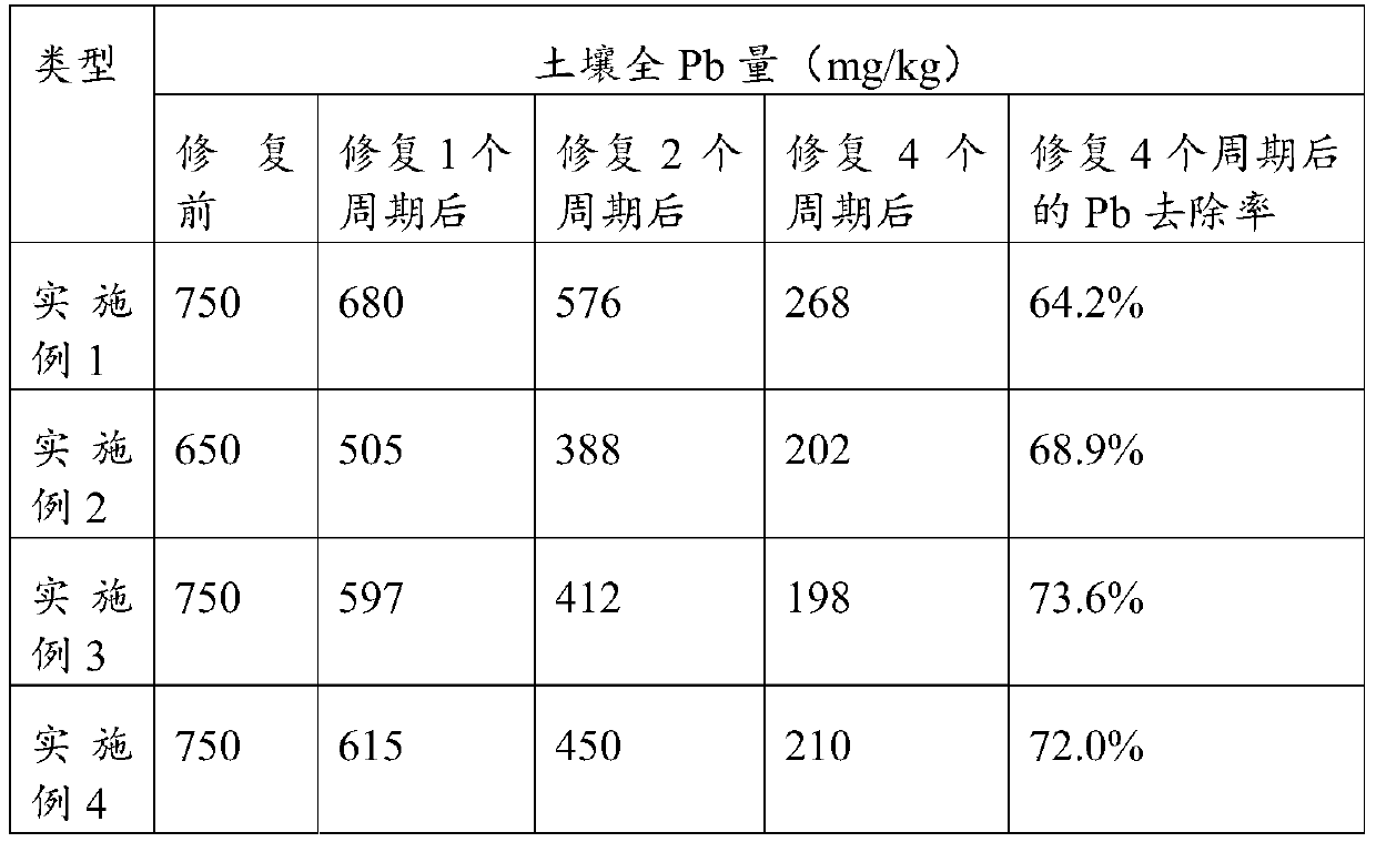 A green plant restoration method for heavy metal polluted soil