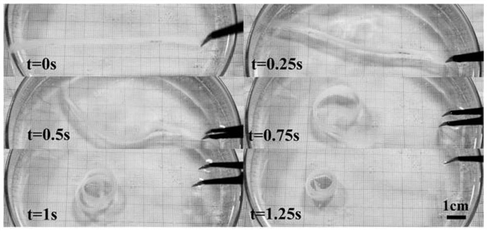 A kind of preparation method of 3D printing non-shaped self-deforming shape memory smart material