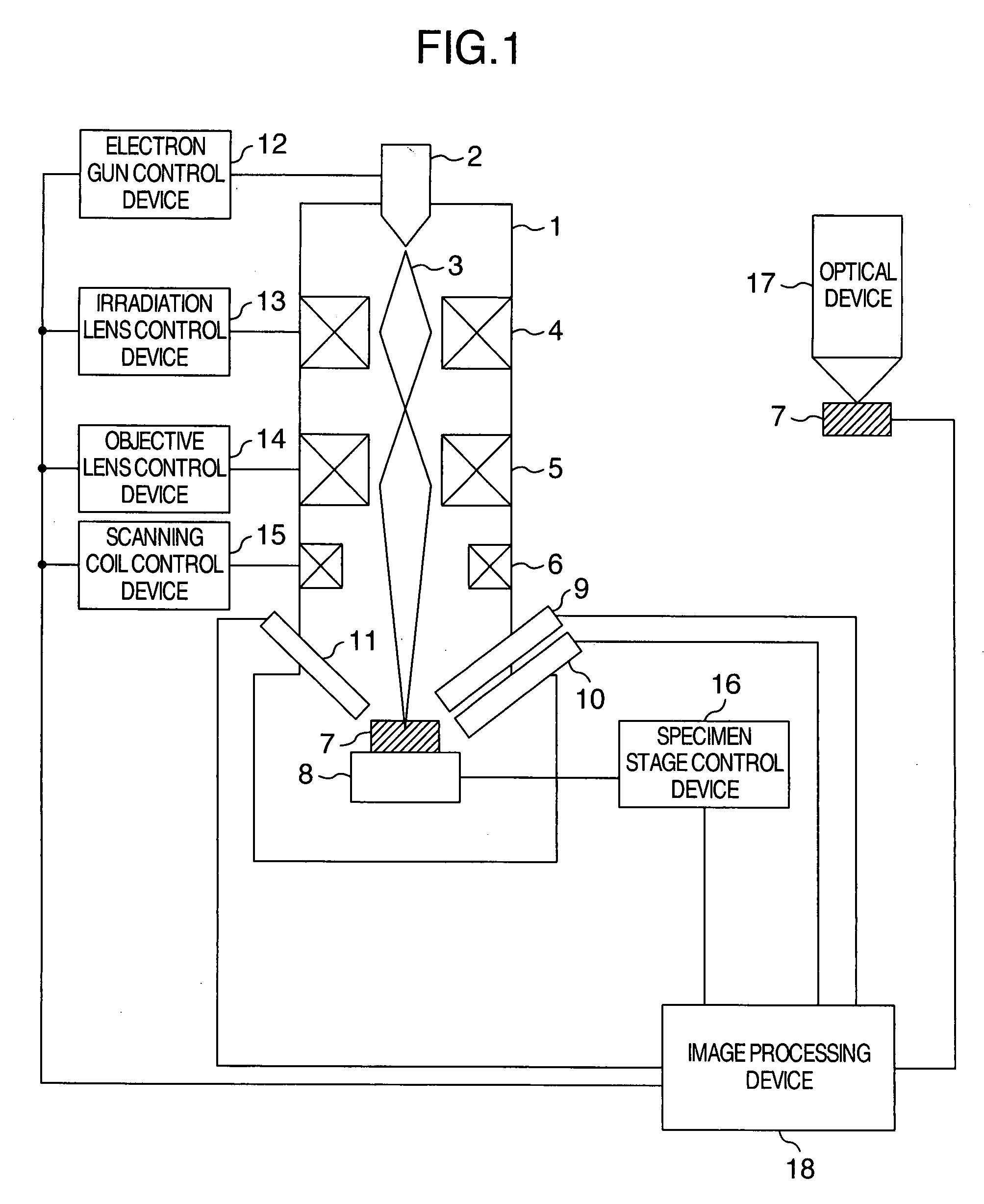 Specimen observation method