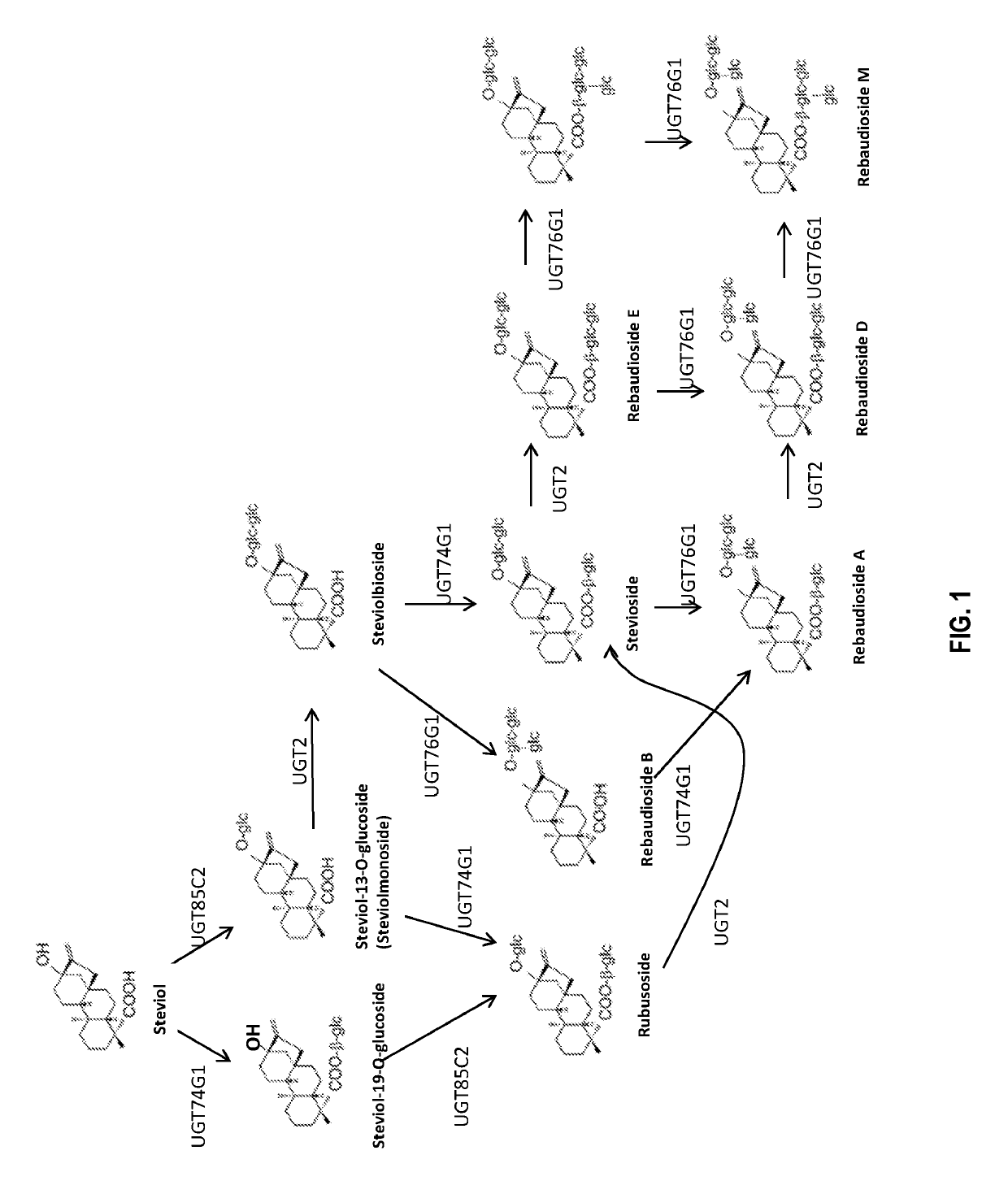 Method for increasing glycosylation of a composition comprising steviol glycosides