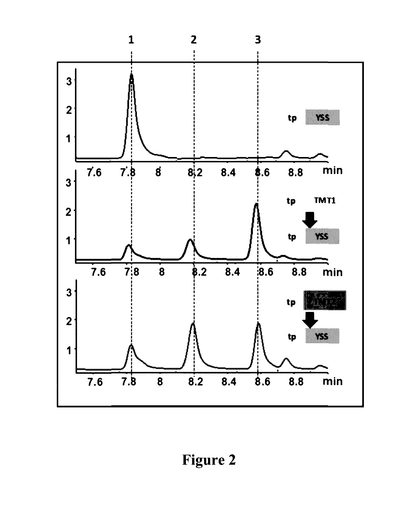Method and system for producing triterpenes