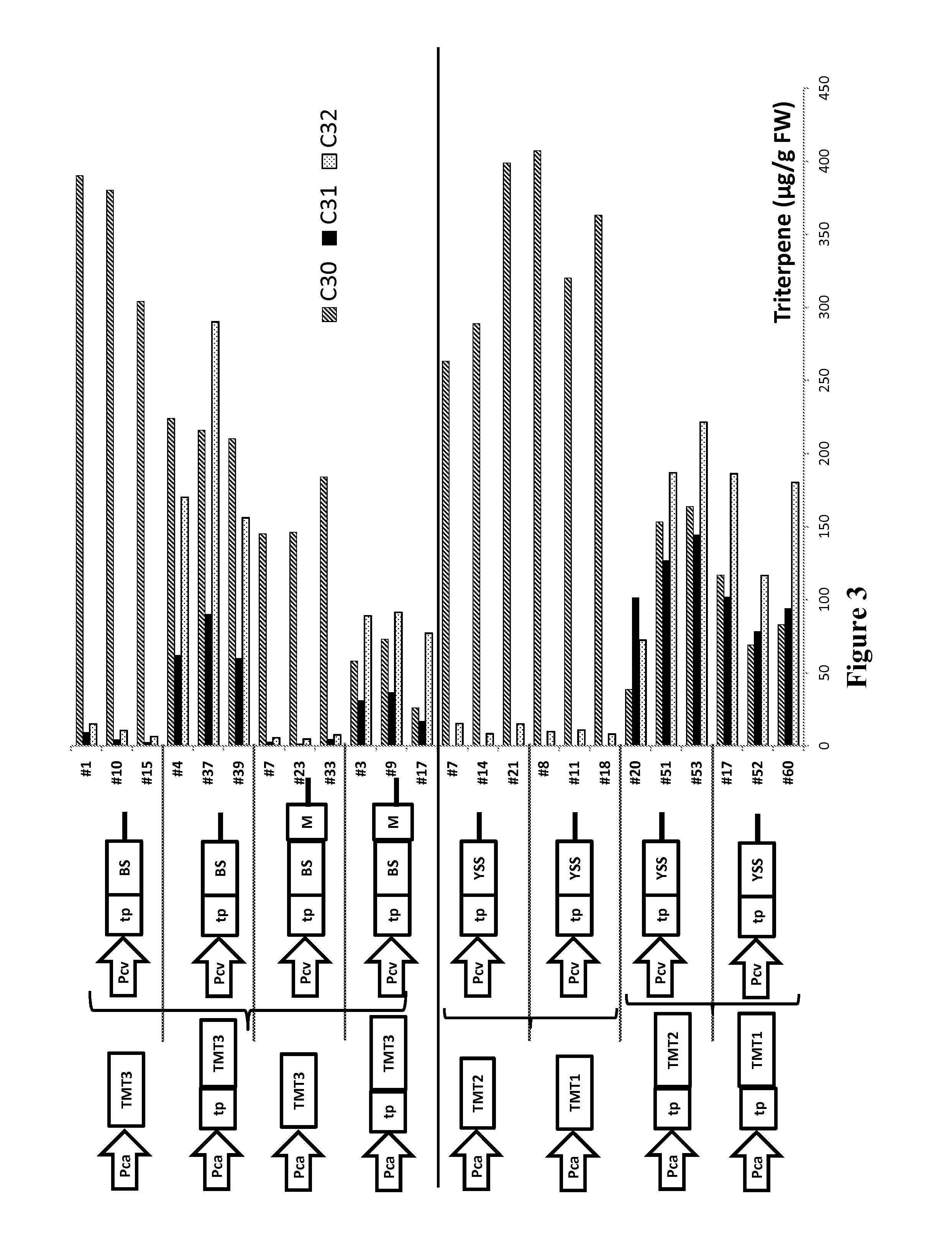 Method and system for producing triterpenes