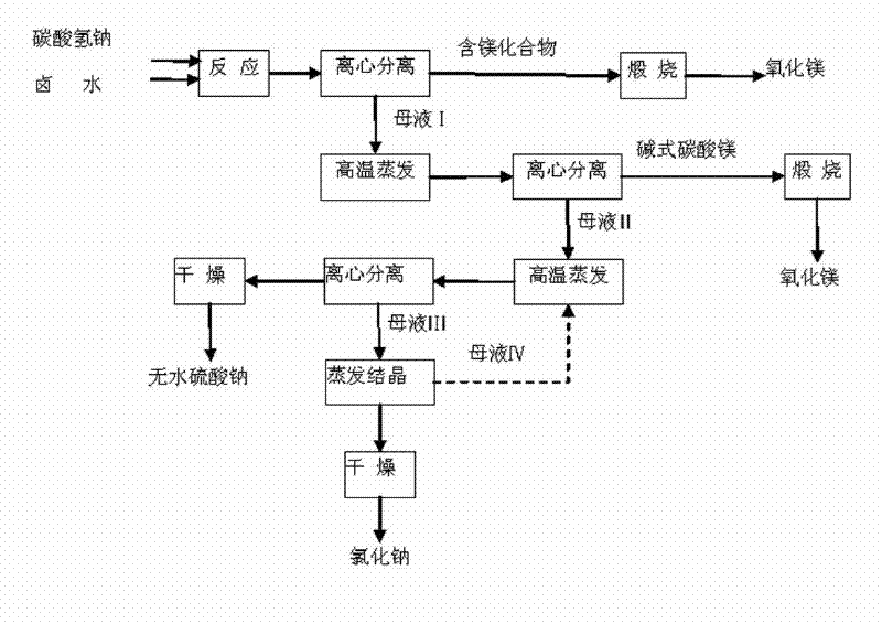 Novel process for producing high-purify magnesium oxide from salt lake brine