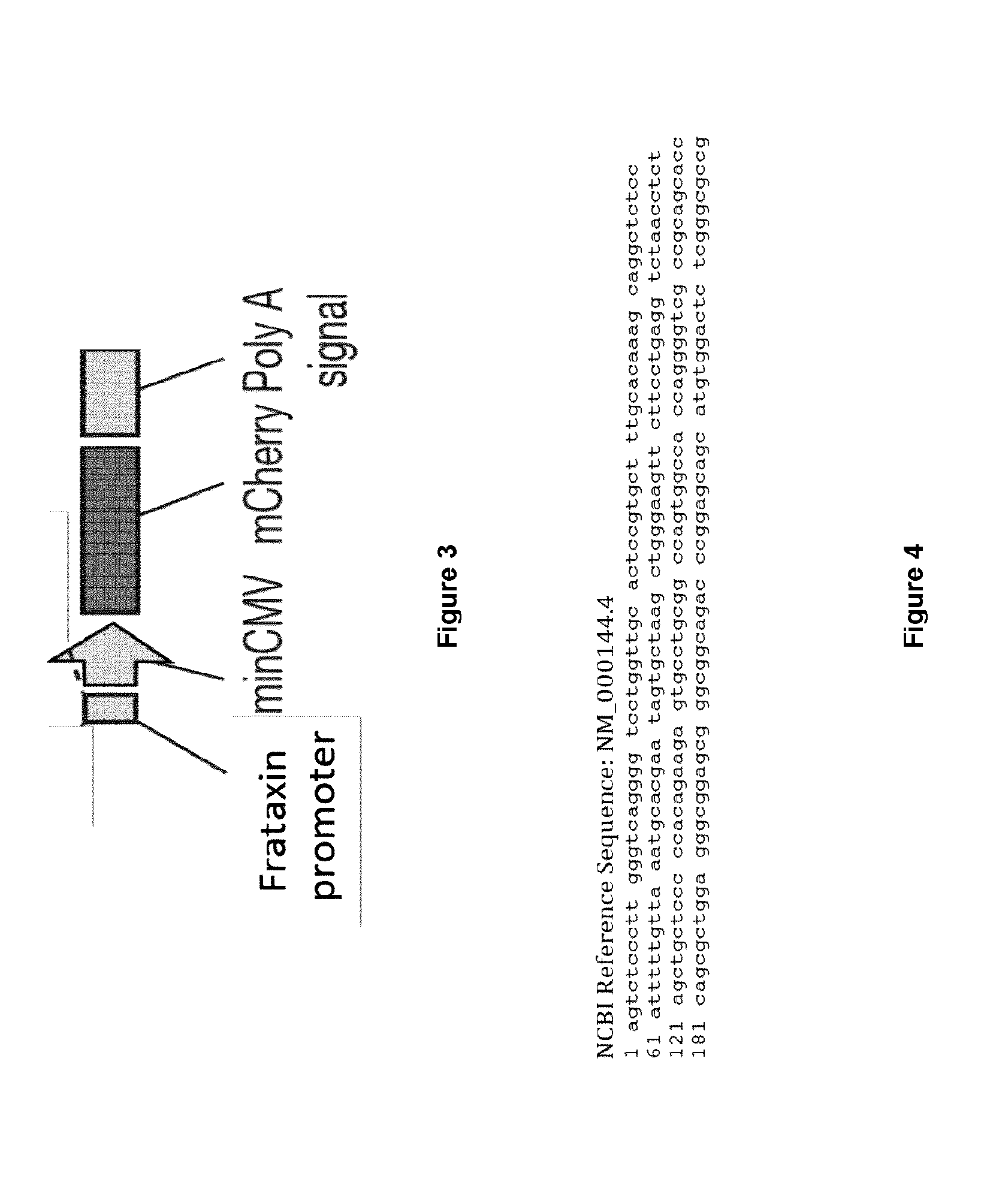 Methods and products for increasing frataxin levels and uses thereof