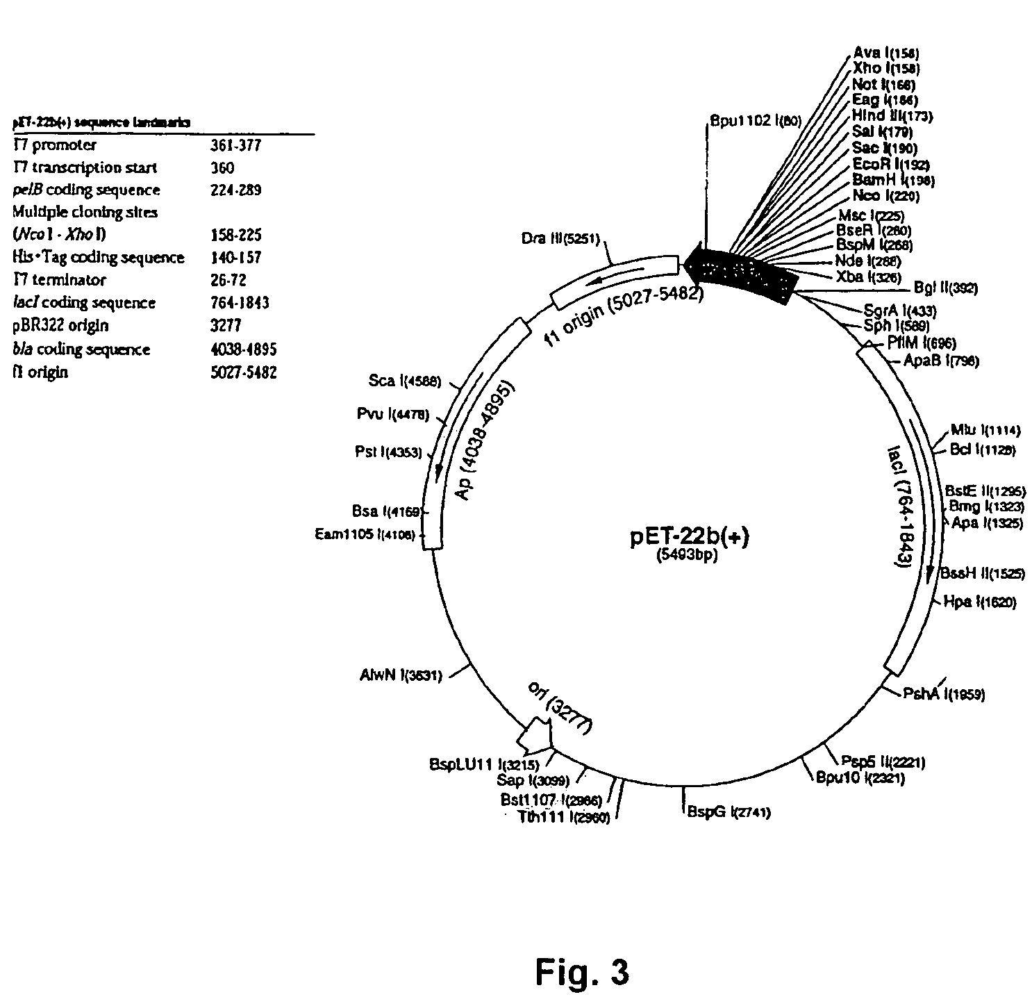 Neuregulin based methods and compositions for treating cardiovascular diseases