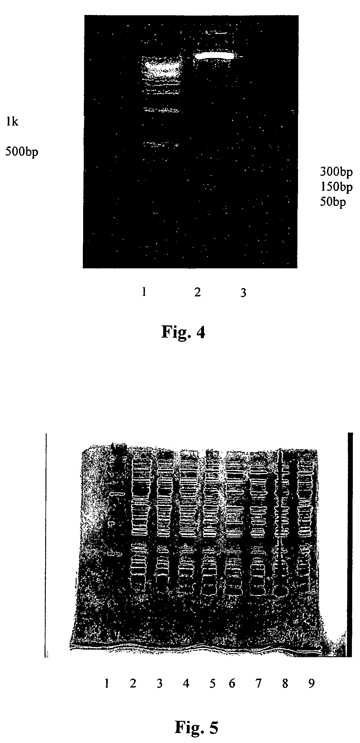 Neuregulin based methods and compositions for treating cardiovascular diseases