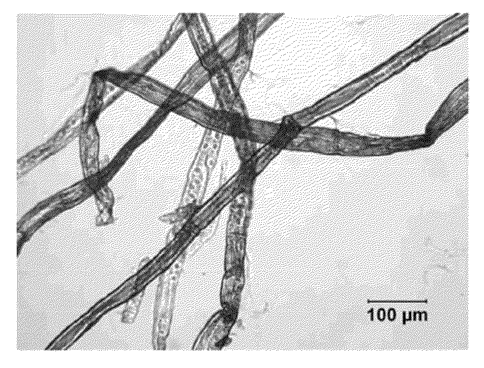Cellulose nanofilaments and method to produce same