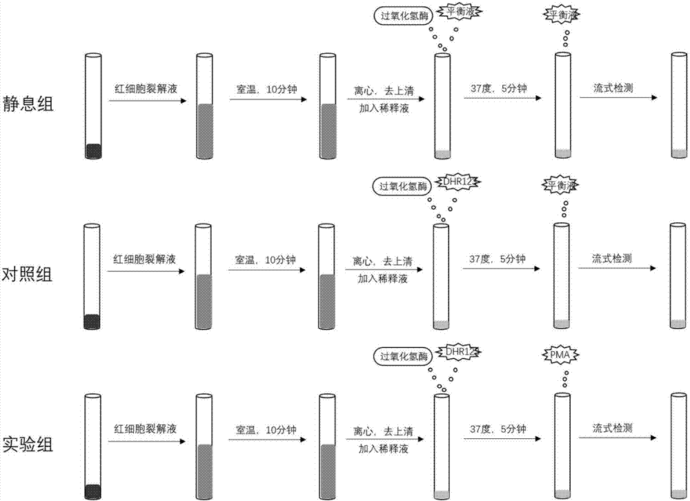 Kit for detecting neutrophile granulocyte respiratory burst function