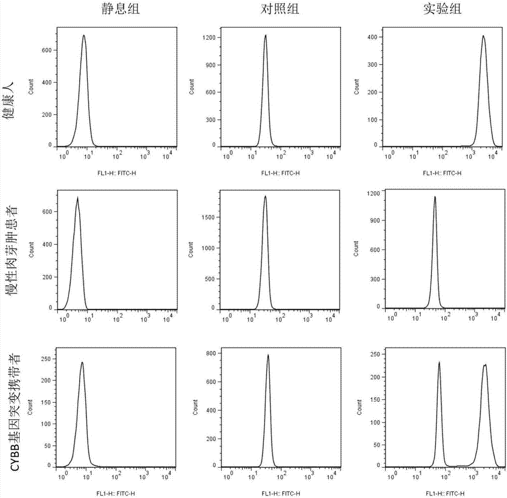 Kit for detecting neutrophile granulocyte respiratory burst function