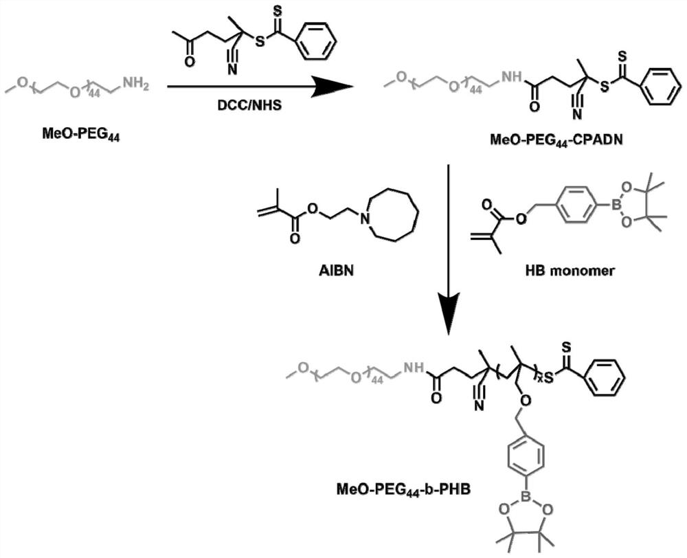 Nano-drug of hybrid membrane loaded oxidative phosphorylation inhibitor and preparation method of nano-drug