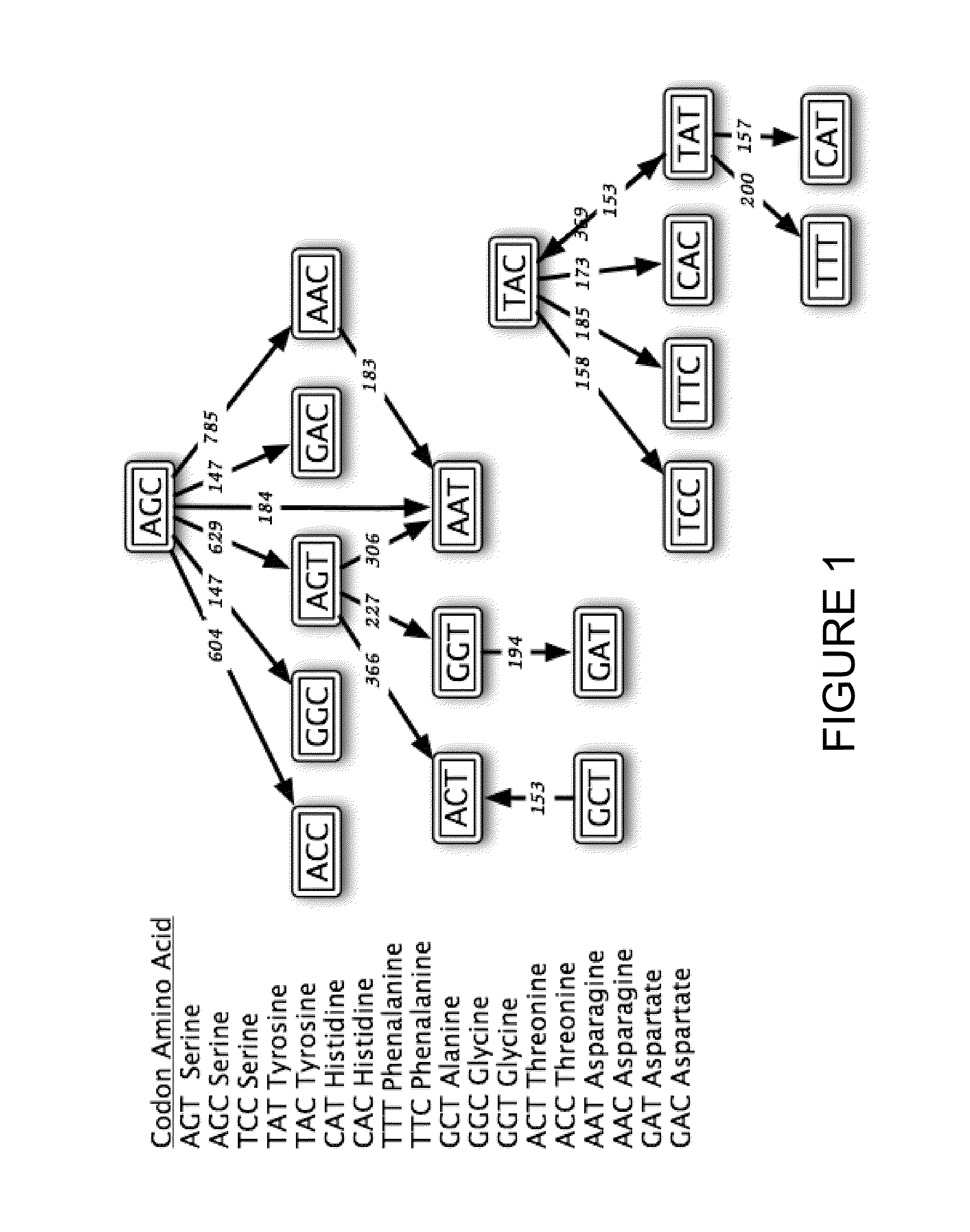 Methods of generating libraries and uses thereof