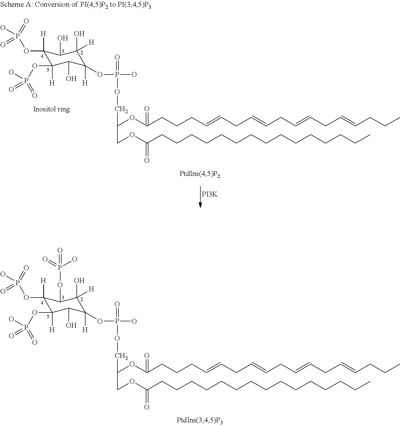 Indazole derivatives as pi 3-kinase