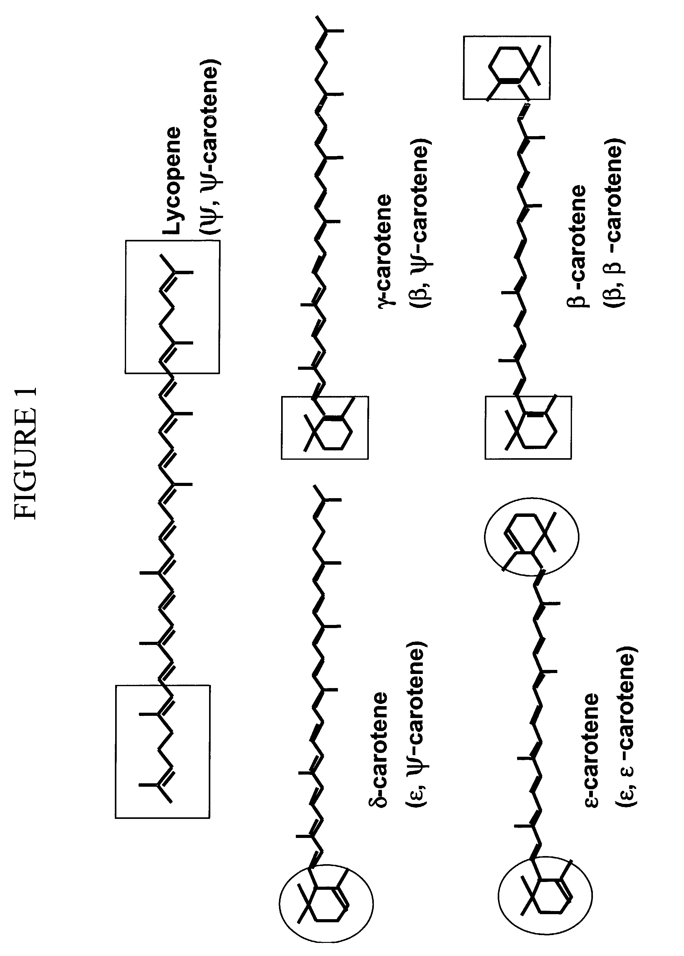 Method for production of asymmetric carotenoids