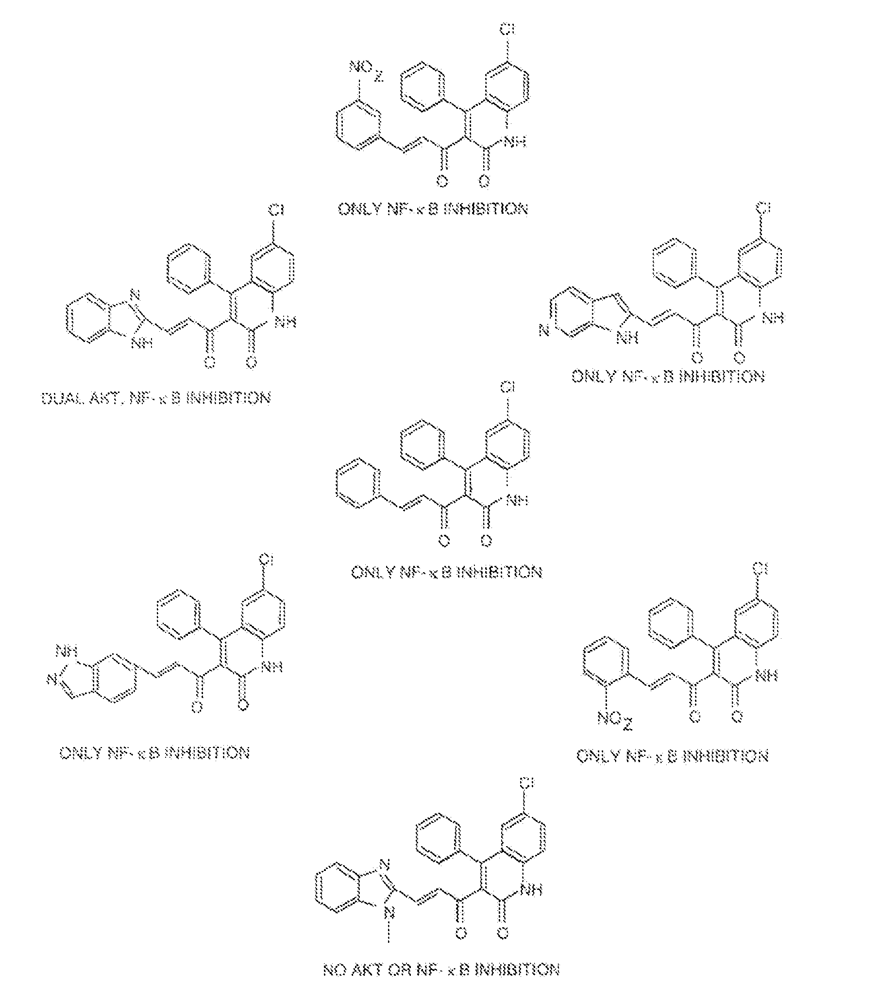 Selective inhibitors of akt and methods of using same
