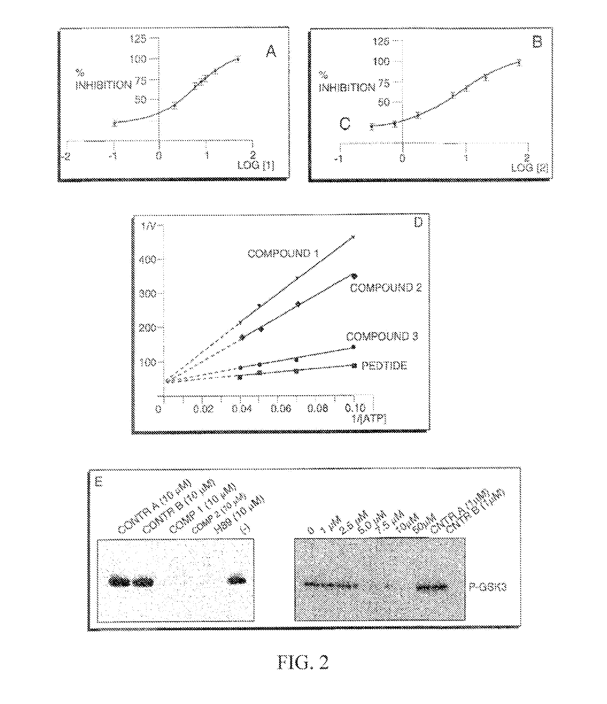 Selective inhibitors of akt and methods of using same