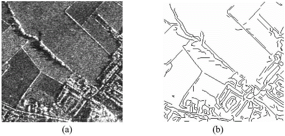 Sar image speckle reduction method based on sketch map and kernel selection