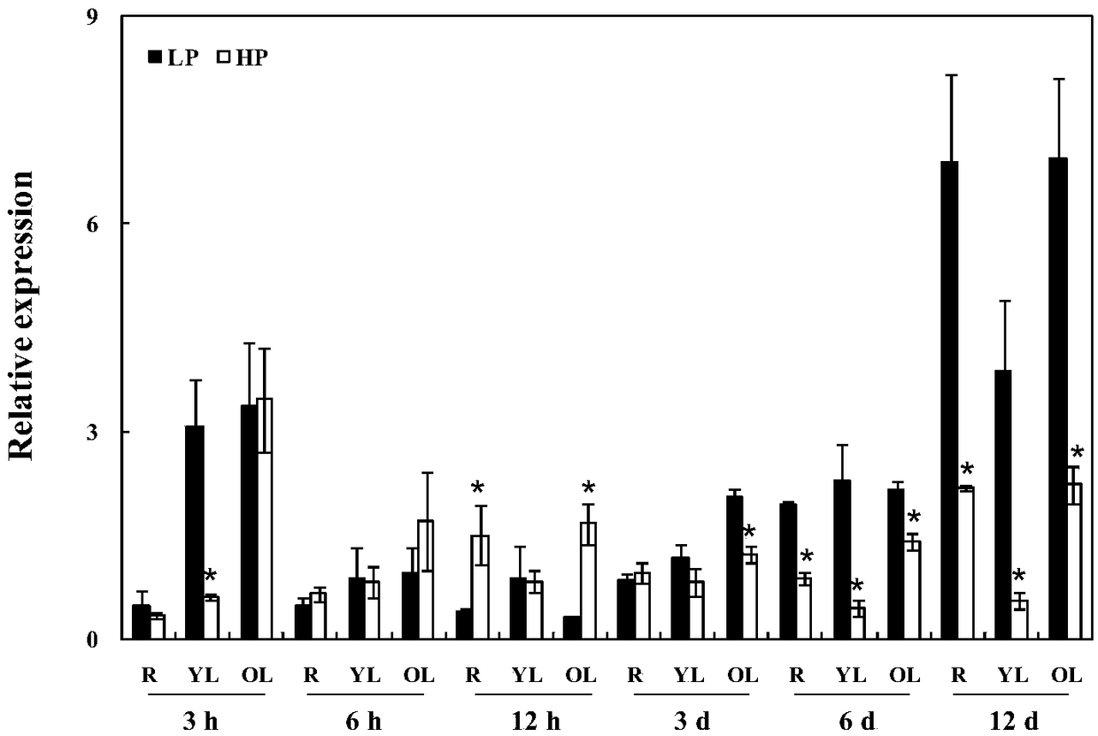 Application of purple acid phosphatase gene GmPAP35 of soybean