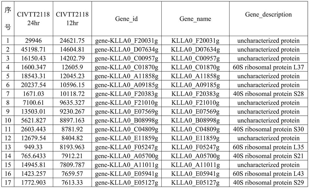 Nucleic acid construct and preparation method thereof