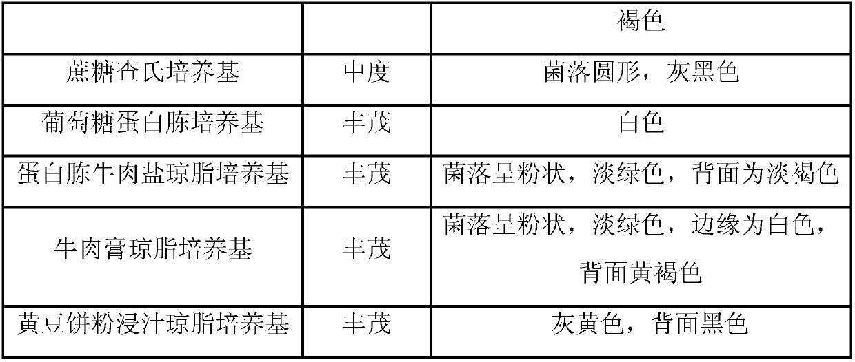 Method for preparing 1,25-dihydroxyl vitamin D3 by microbial transformation