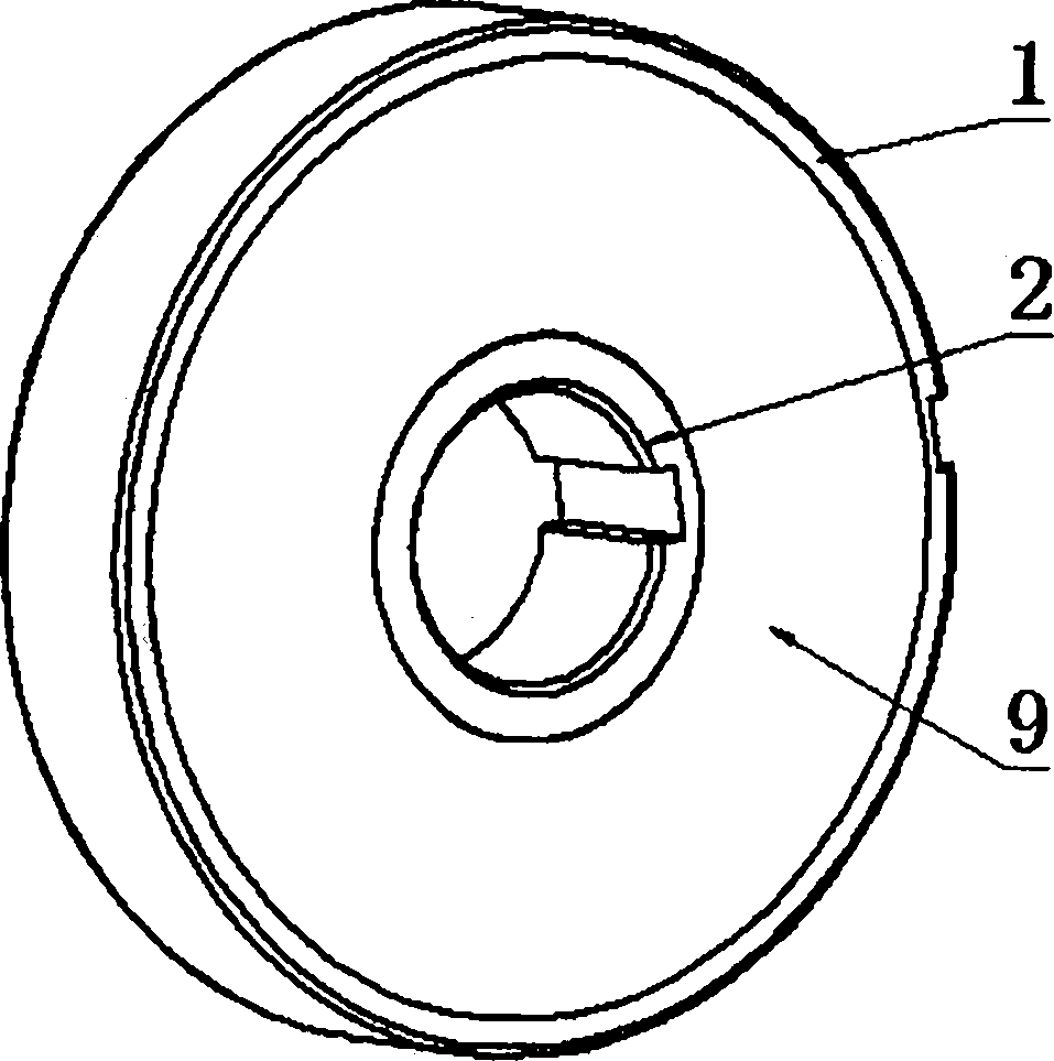 Bi-directional torque overload protector