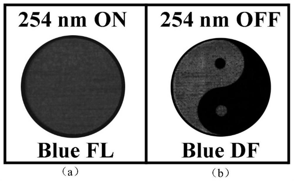 Triple optical anti-counterfeiting ink with fluorescence, delayed fluorescence and room temperature phosphorescence and anti-counterfeiting method and application