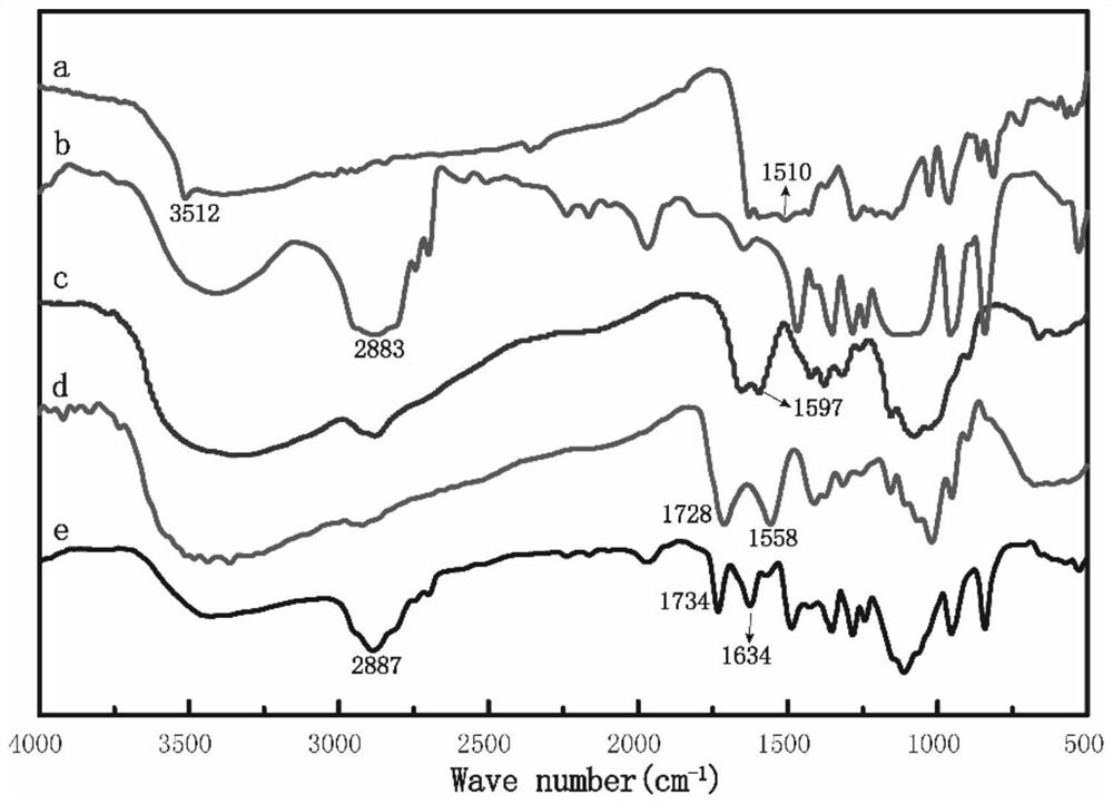 Polyethylene glycol-chitosan-curcumin polymer, and drug-loaded nanoparticles and preparation method thereof