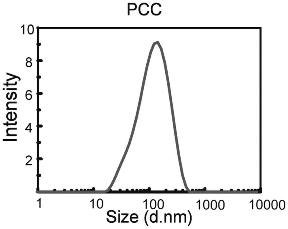 Polyethylene glycol-chitosan-curcumin polymer, and drug-loaded nanoparticles and preparation method thereof