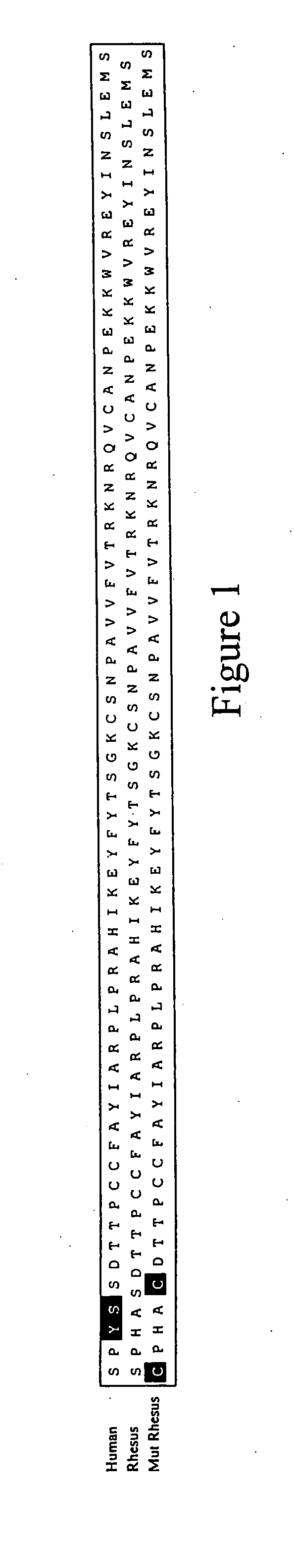 Expression of virus entry inhibitors and recombinant AAV thereof