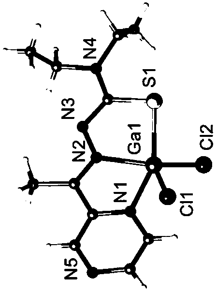 Acetylpyrazine thiosemicarbazone metal chelating agent and preparation and application of metal complex of the acetylpyrazine thiosemicarbazone metal chelating agent