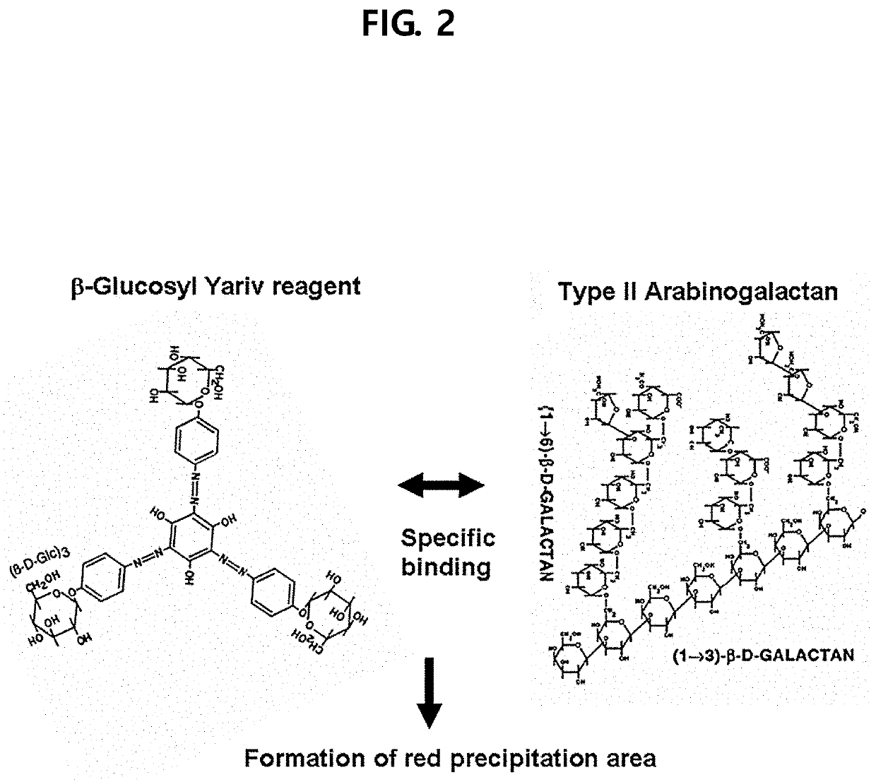 Composition for preventing or inhibiting influenza virus infection, containing ginseng berry polysaccharides