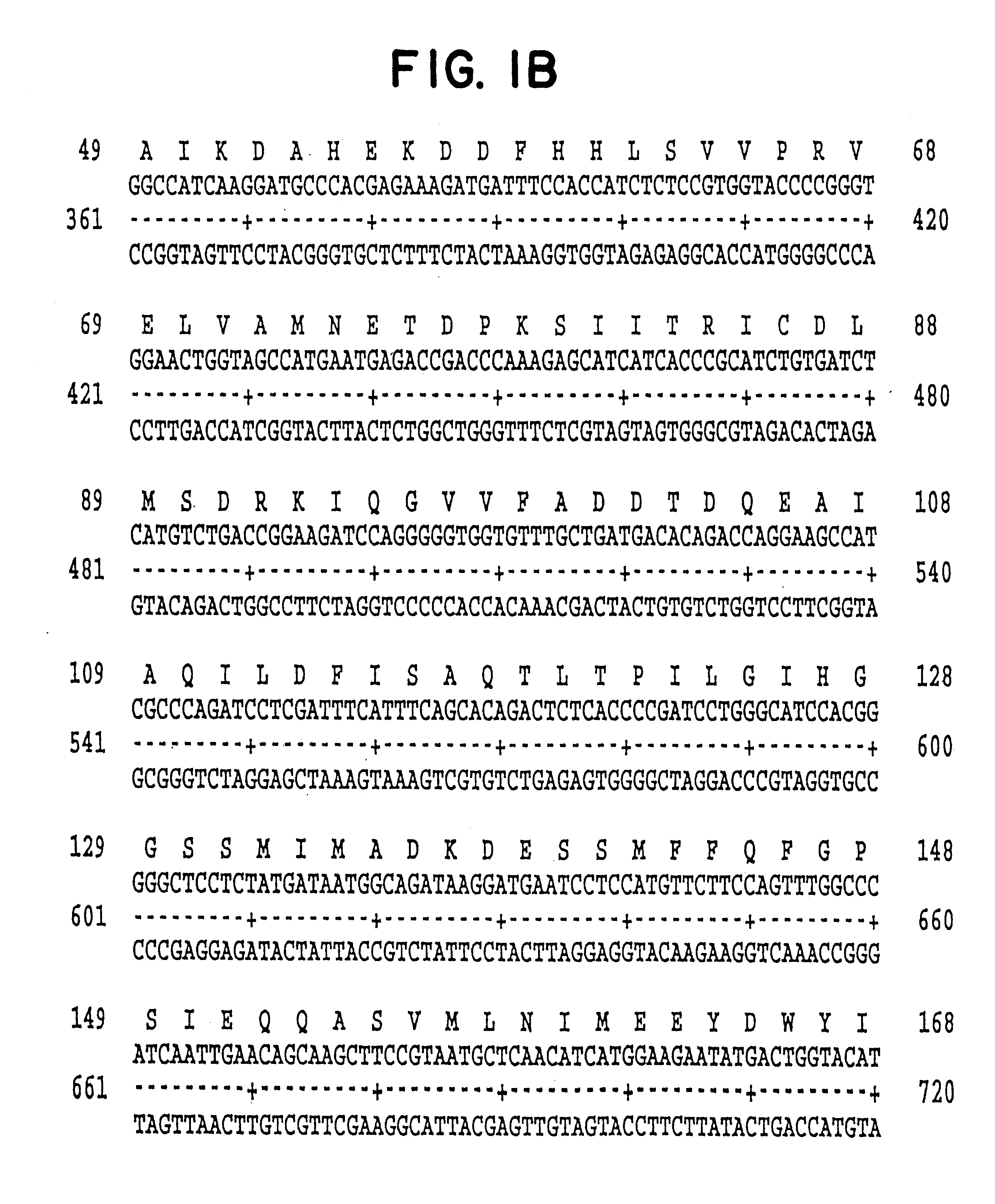 Ionotropic human glutamate receptor subunit NR3