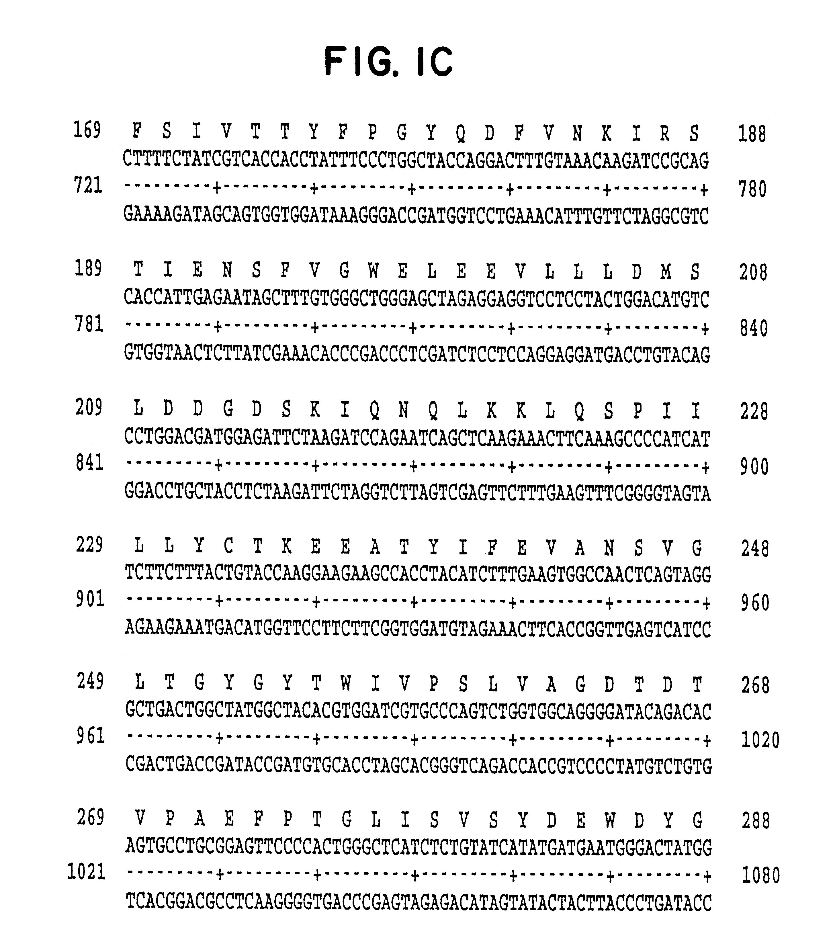 Ionotropic human glutamate receptor subunit NR3