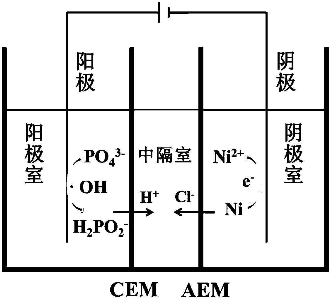Method for recycling heavy metal nickel from chemical nickel-plating waste water