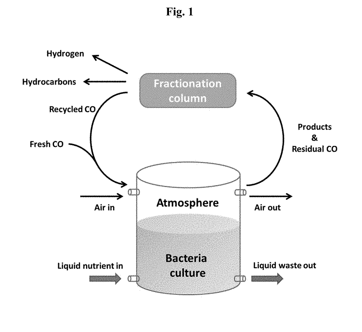 Compositions and methods for the production of hydrocarbons, hydrogen and carbon monoxide using engineered azotobacter strains