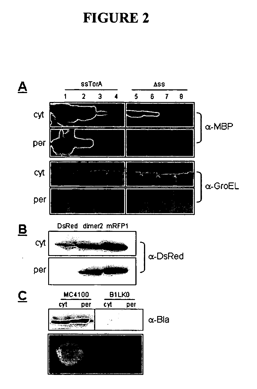 Compositions and methods for monitoring and altering protein folding and solubility