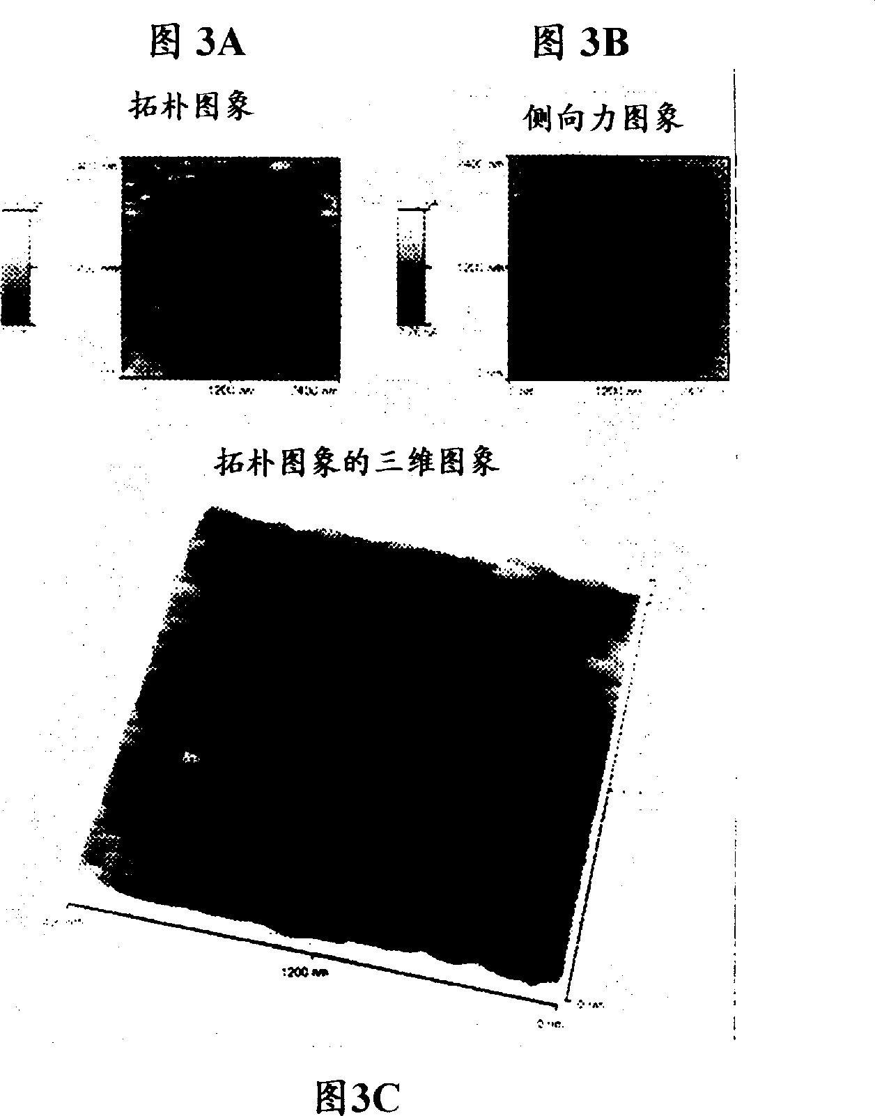 Method of contact printing on gold coated films