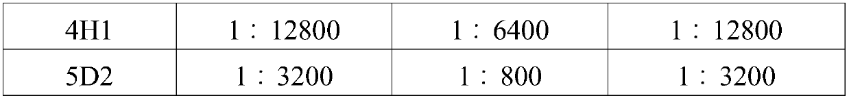 Monoclonal antibody of canine parainfluenza virus, and application thereof