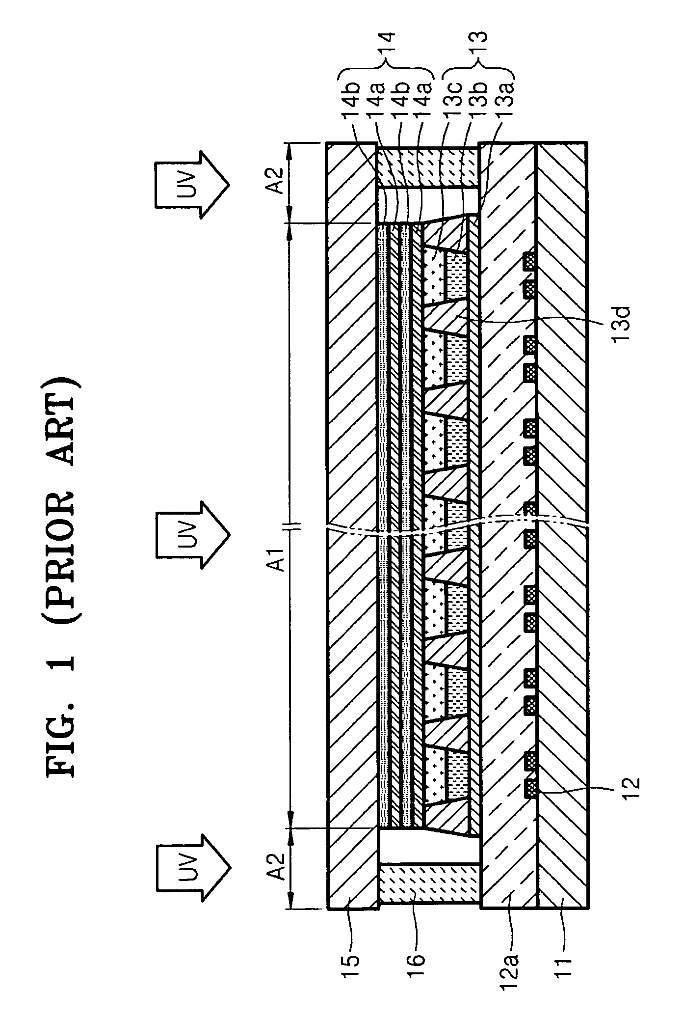 Organic light emitting display providing ultraviolet ray protection and method of manufacturing same
