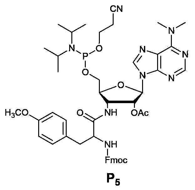 Method used for screening polypeptide in vitro