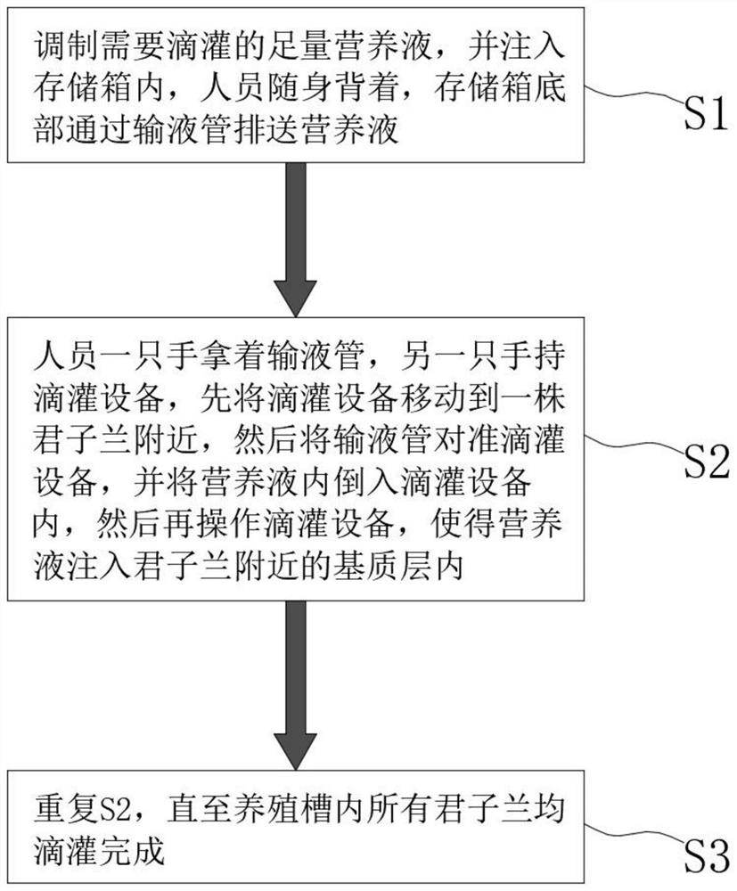 Method for rapidly and uniformly diffusing nutrient solution for substrate cultivation of kaffir lily